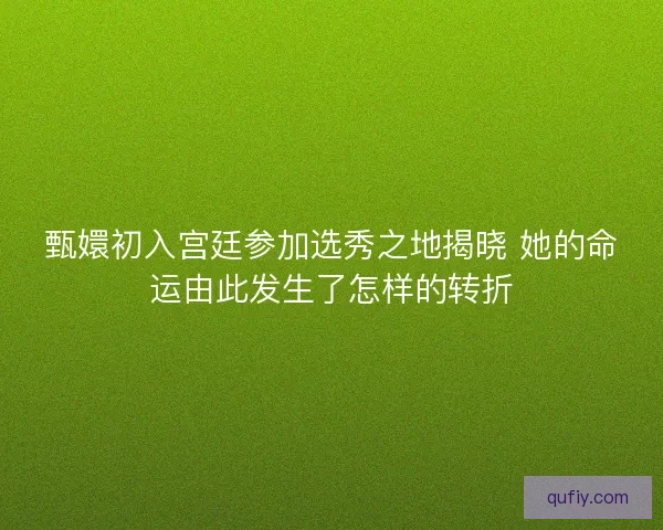 甄嬛初入宫廷参加选秀之地揭晓 她的命运由此发生了怎样的转折