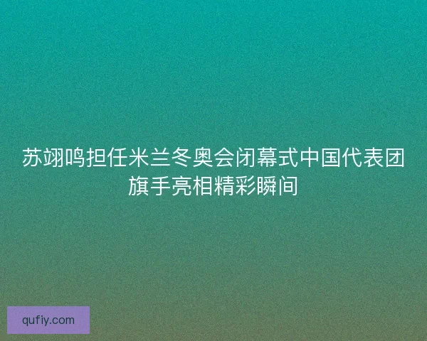 苏翊鸣担任米兰冬奥会闭幕式中国代表团旗手亮相精彩瞬间