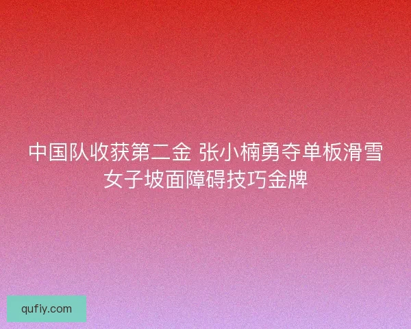 中国队收获第二金 张小楠勇夺单板滑雪女子坡面障碍技巧金牌