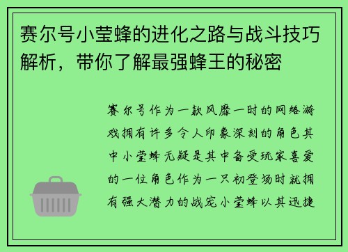 赛尔号小莹蜂的进化之路与战斗技巧解析，带你了解最强蜂王的秘密