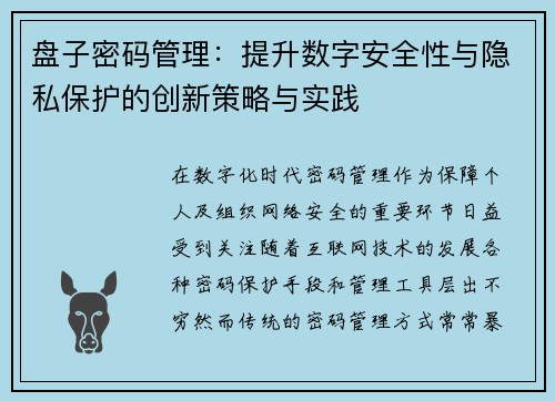 盘子密码管理：提升数字安全性与隐私保护的创新策略与实践